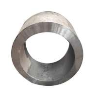 high quality lashing ring cast and forged