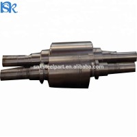 Forged Stainless Steel Roller Shaft